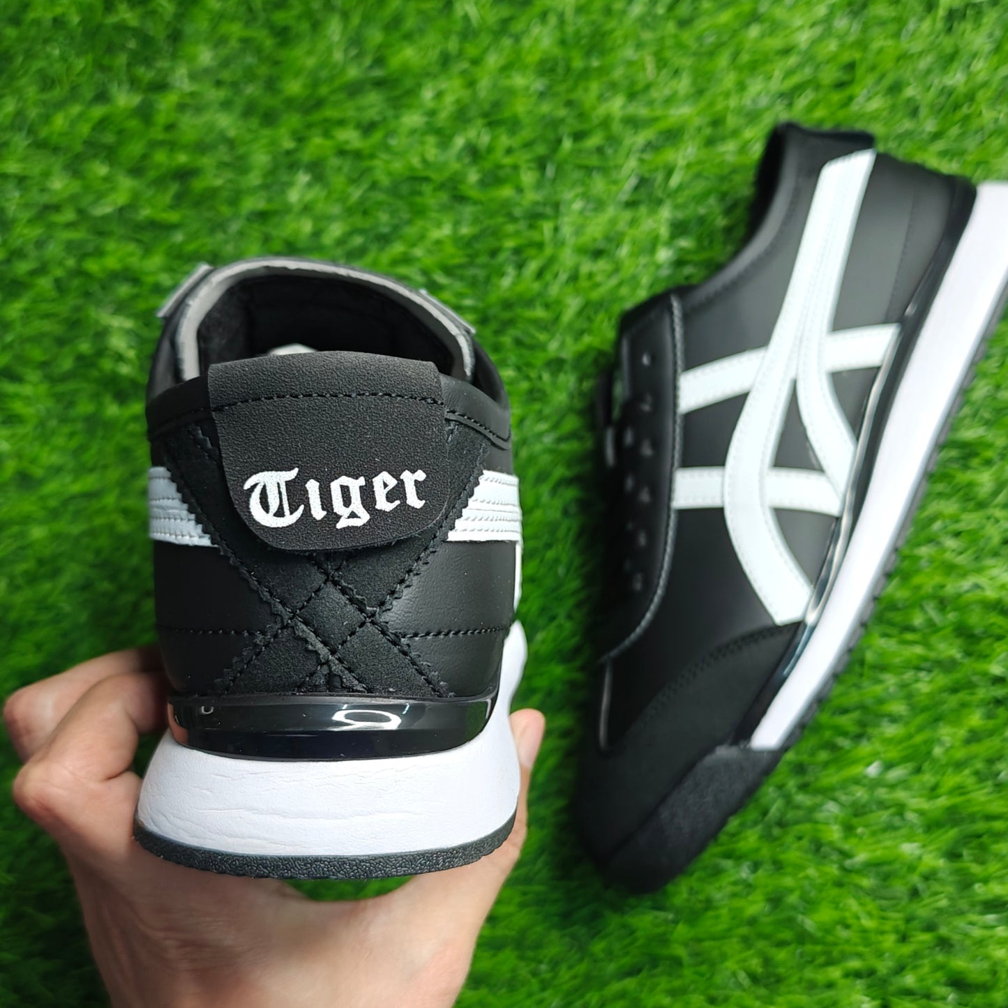 Tiger Black