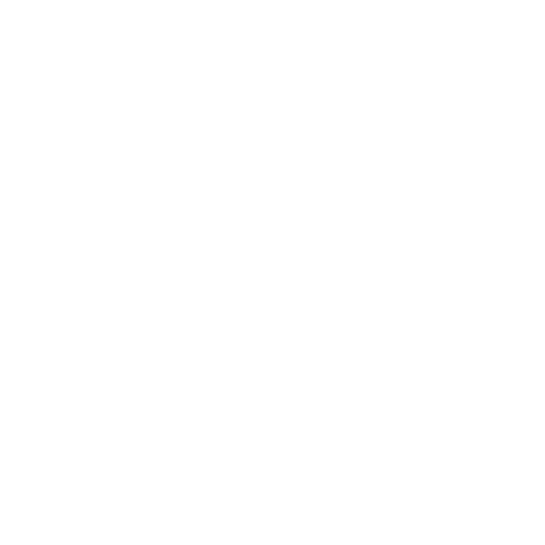 M/S Foot Steps